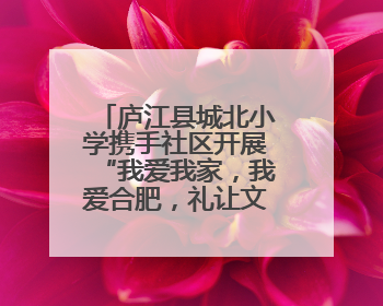 庐江县城北小学携手社区开展“我爱我家，我爱合肥，礼让文明”实践活动
